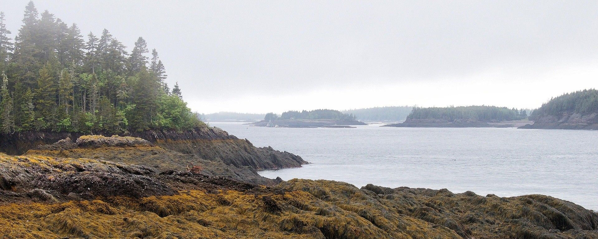 NBGS - Charlotte Branch